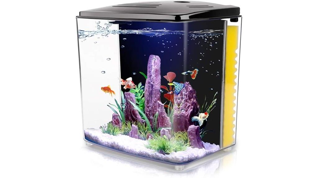 betta aquarium starter kit
