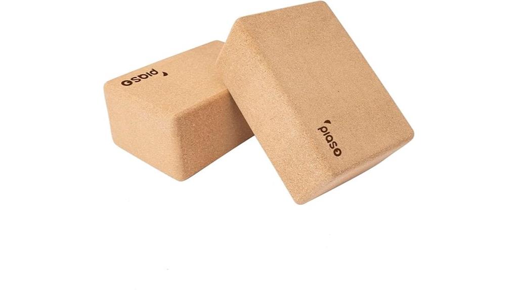 cork yoga block pair