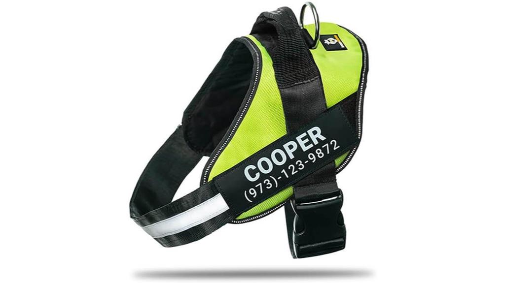 custom name patch harness
