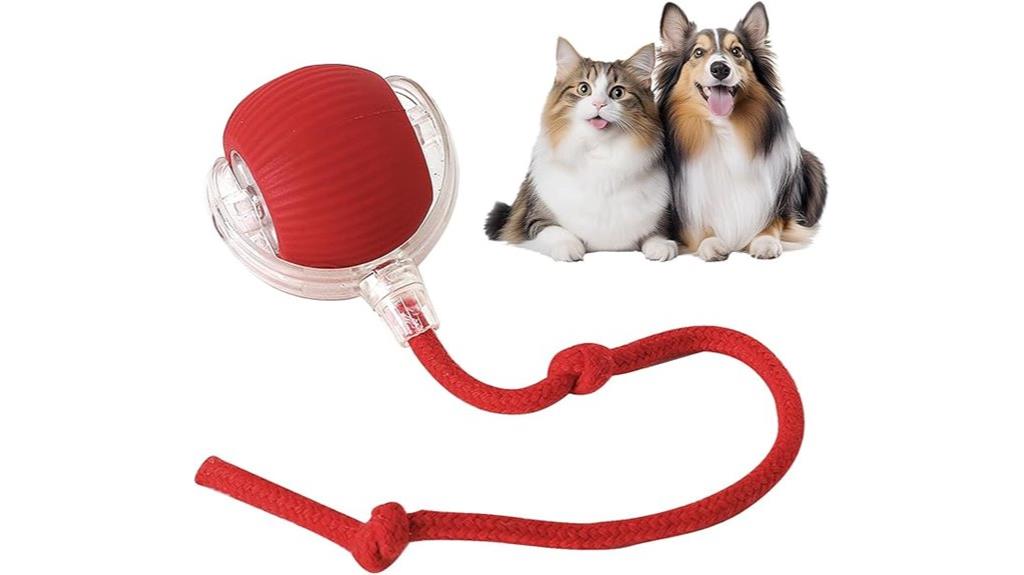 electric indoor cat toy