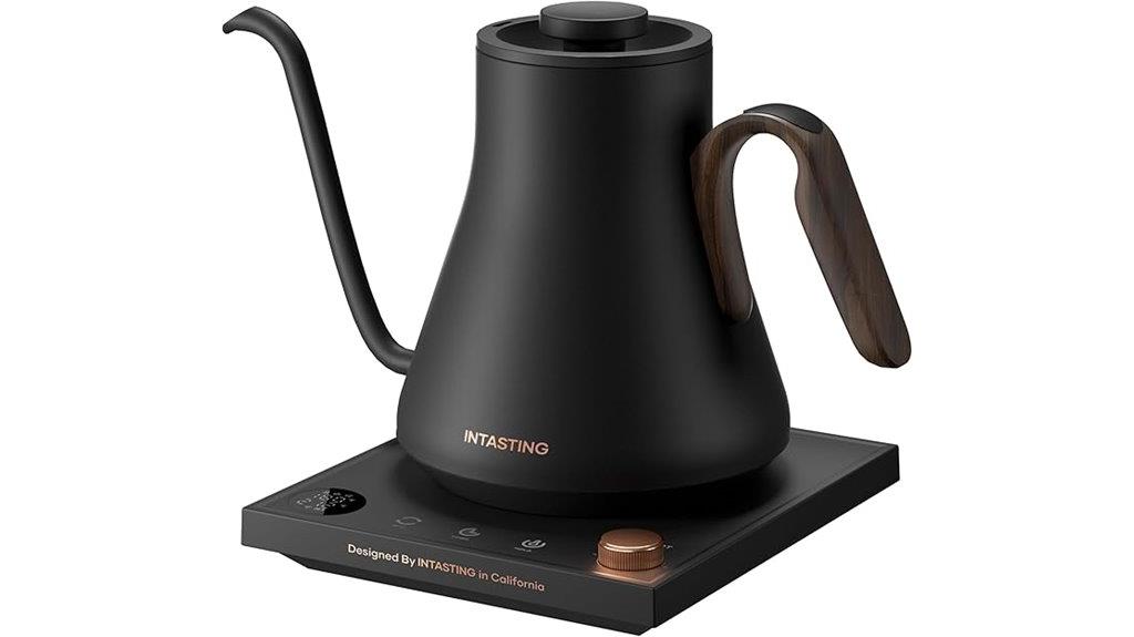 gooseneck electric kettle