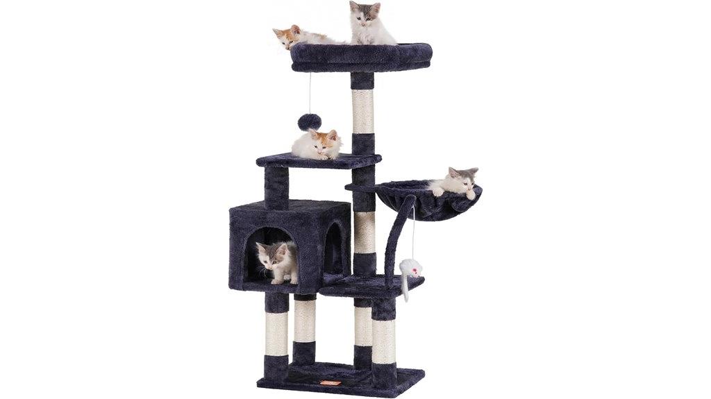 indoor cat playground with toy
