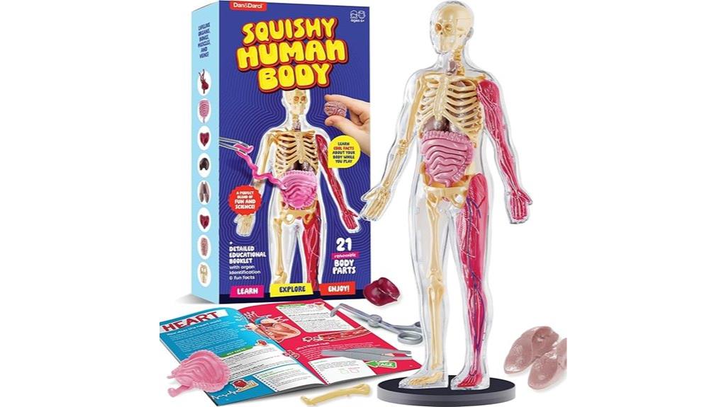 kids squishy anatomy model