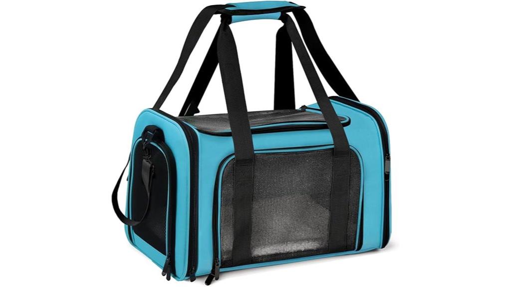 large collapsible pet carrier