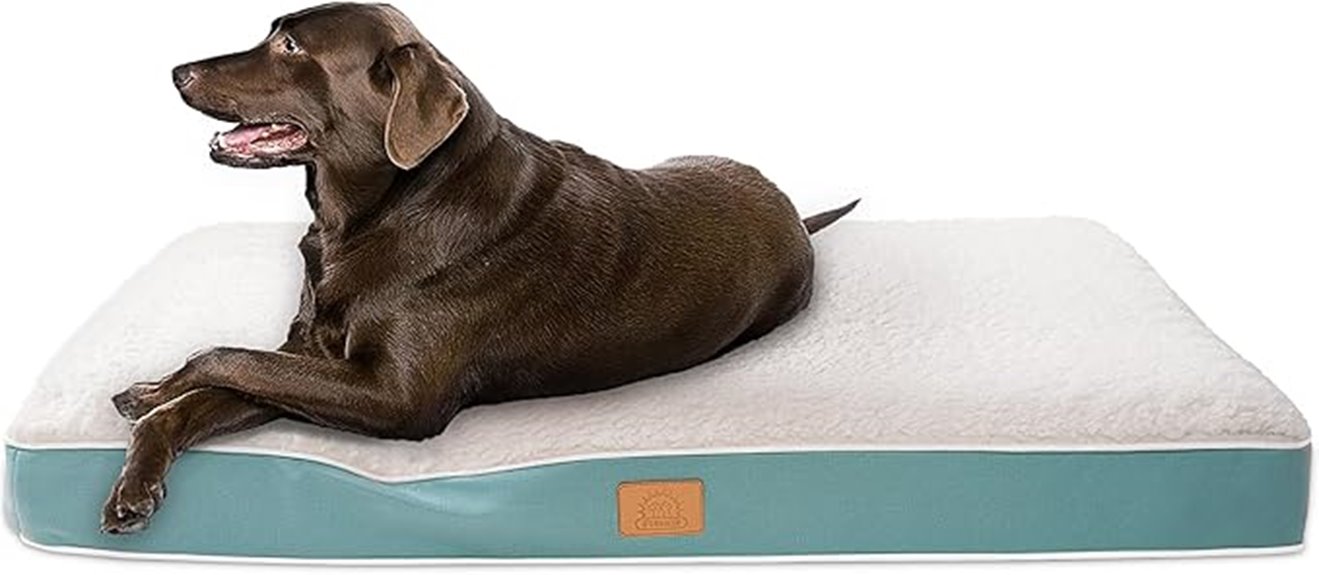 large dog orthopedic bed