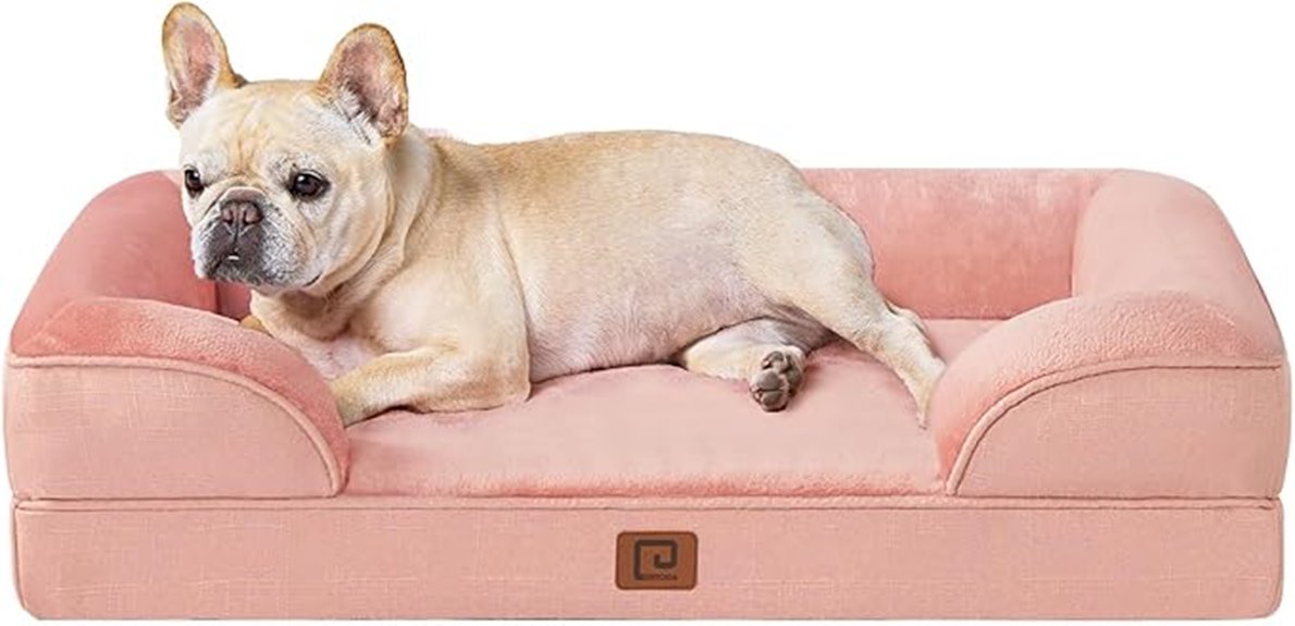 orthopedic small dog bed