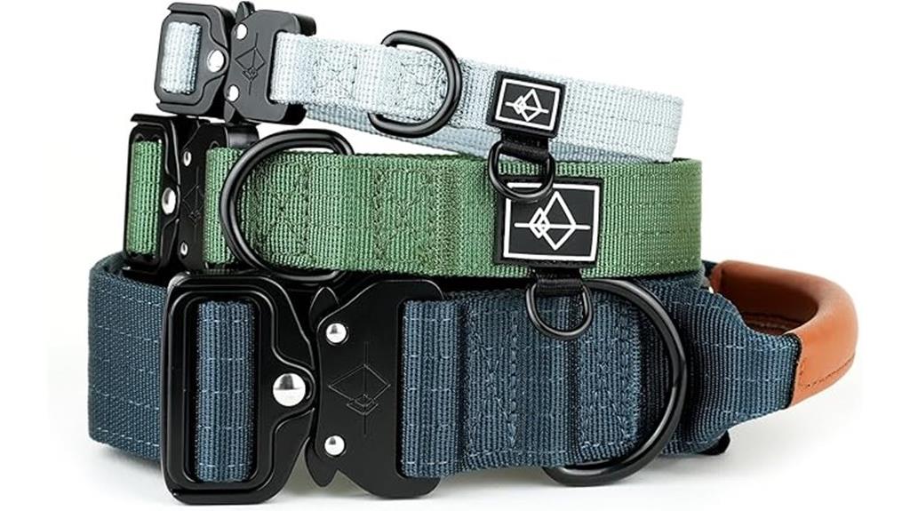 premium roaming dog collar