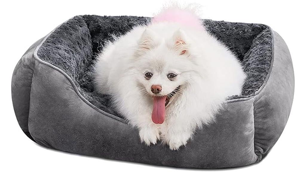 rectangular dog bed variety