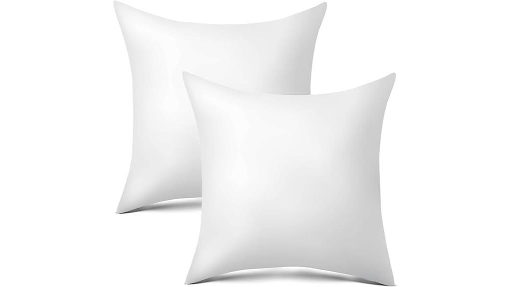 set of two pillow inserts