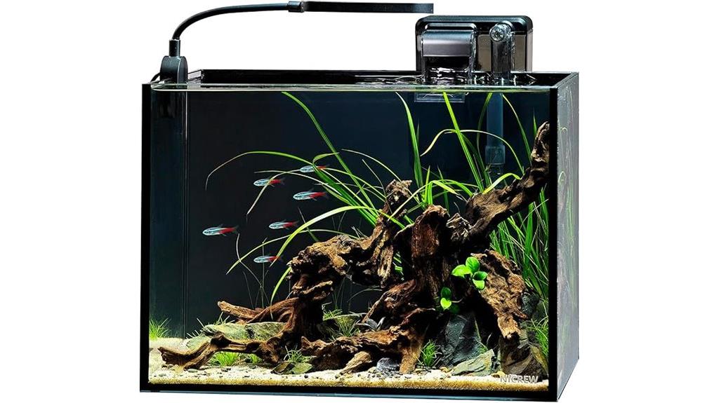 small aquarium kit included