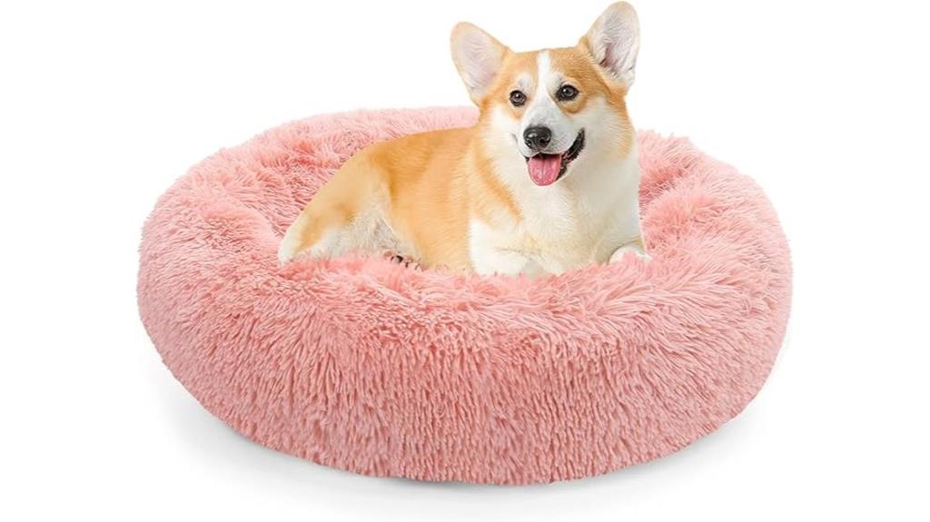 small to medium calming beds