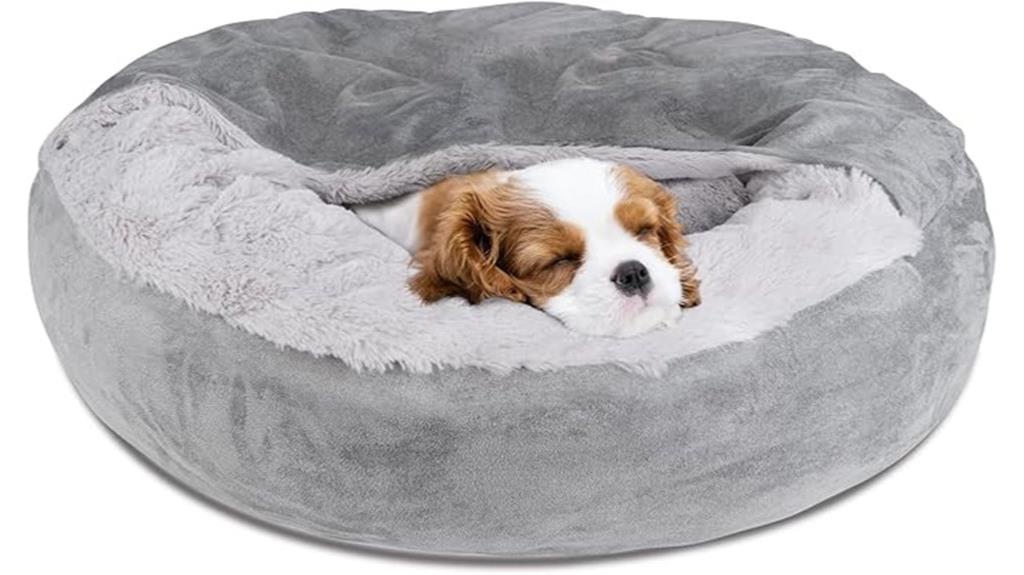 small washable pet bed