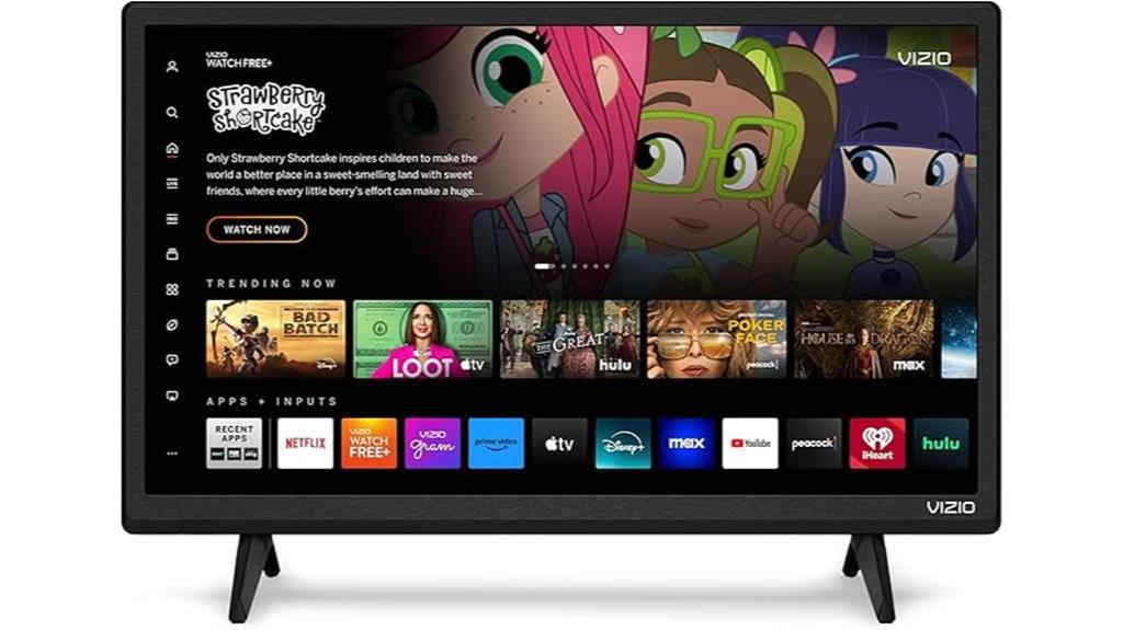 vizio 24 inch smart tv