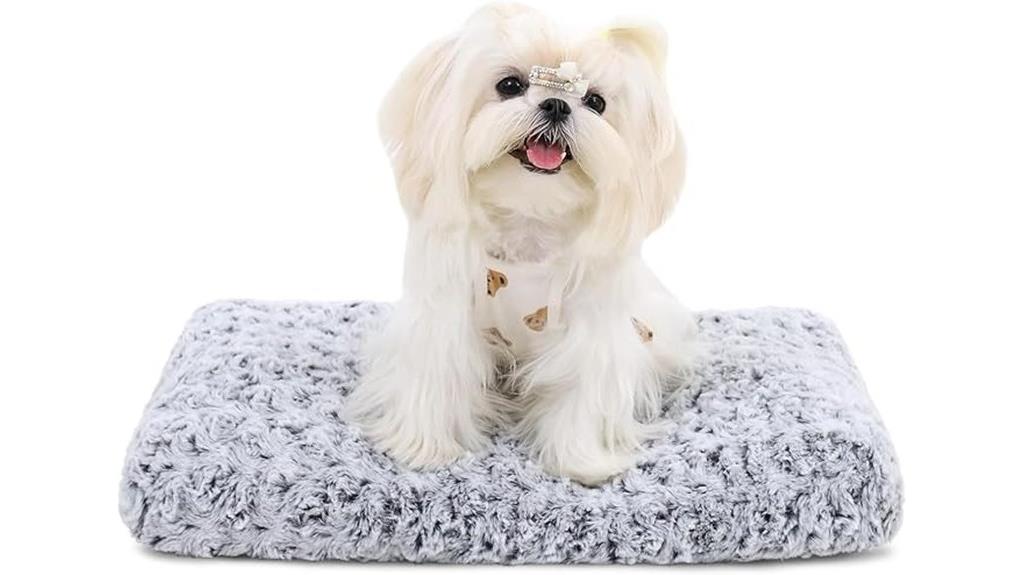 washable plush dog bed