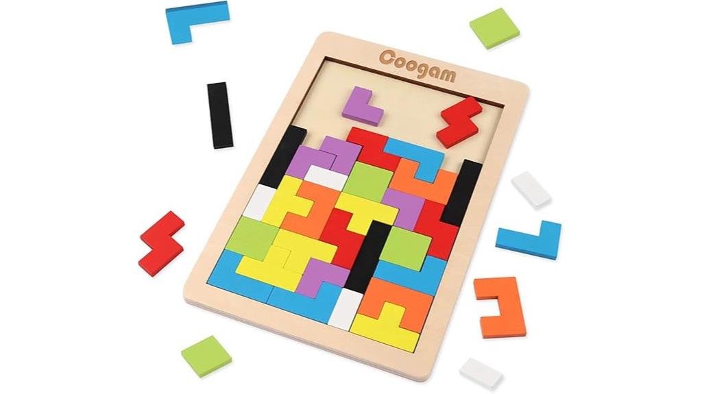 wooden brain teaser puzzle