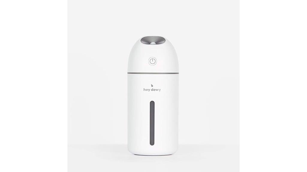 rechargeable dewy cool mist