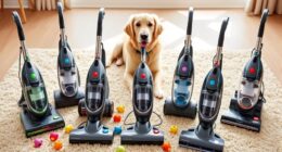 top pet carpet cleaners