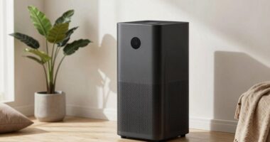 silent air purifier features