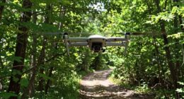 flying without pre checks