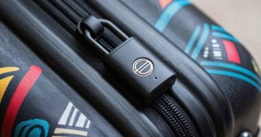 important tsa lock details