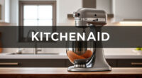 How to Clean a KitchenAid Professional 600 Mixer Safely
