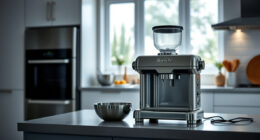 How to Safely and Effectively Clean Your Breville Smart Oven Air