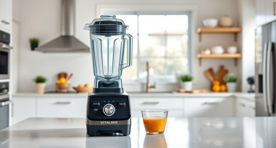 Vitamix E310 Explorian Review: Pros, Cons, and Who It's For